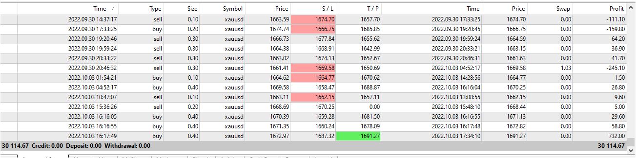 My Trading Results in 2022